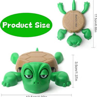 Funny Turtle Coaster